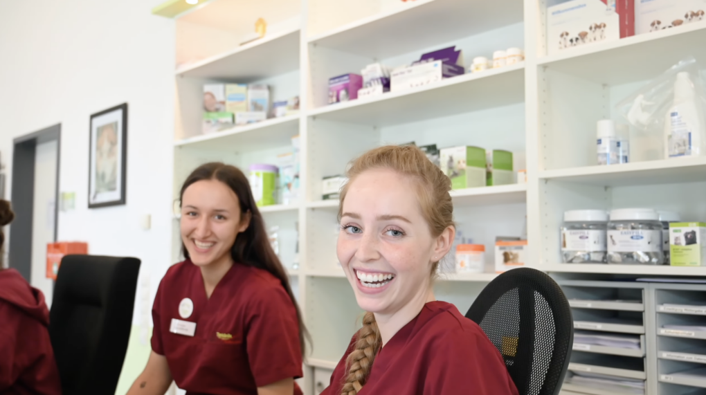 Tierklinik_posthausen_Bild_video_jobs-01