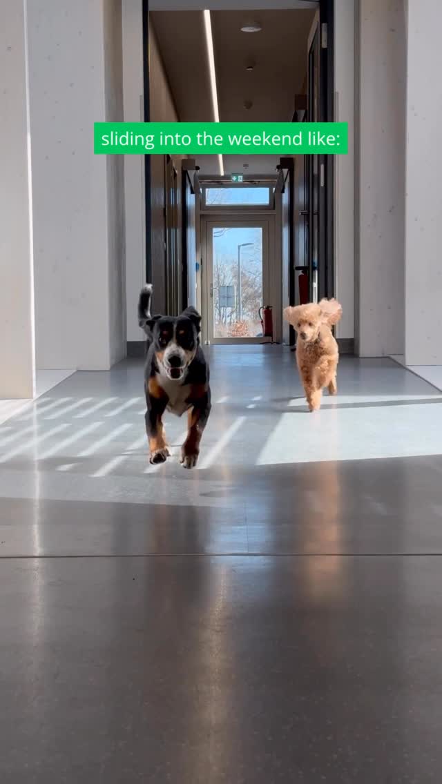 Instagram Beitrag von Tierklinik Posthausen