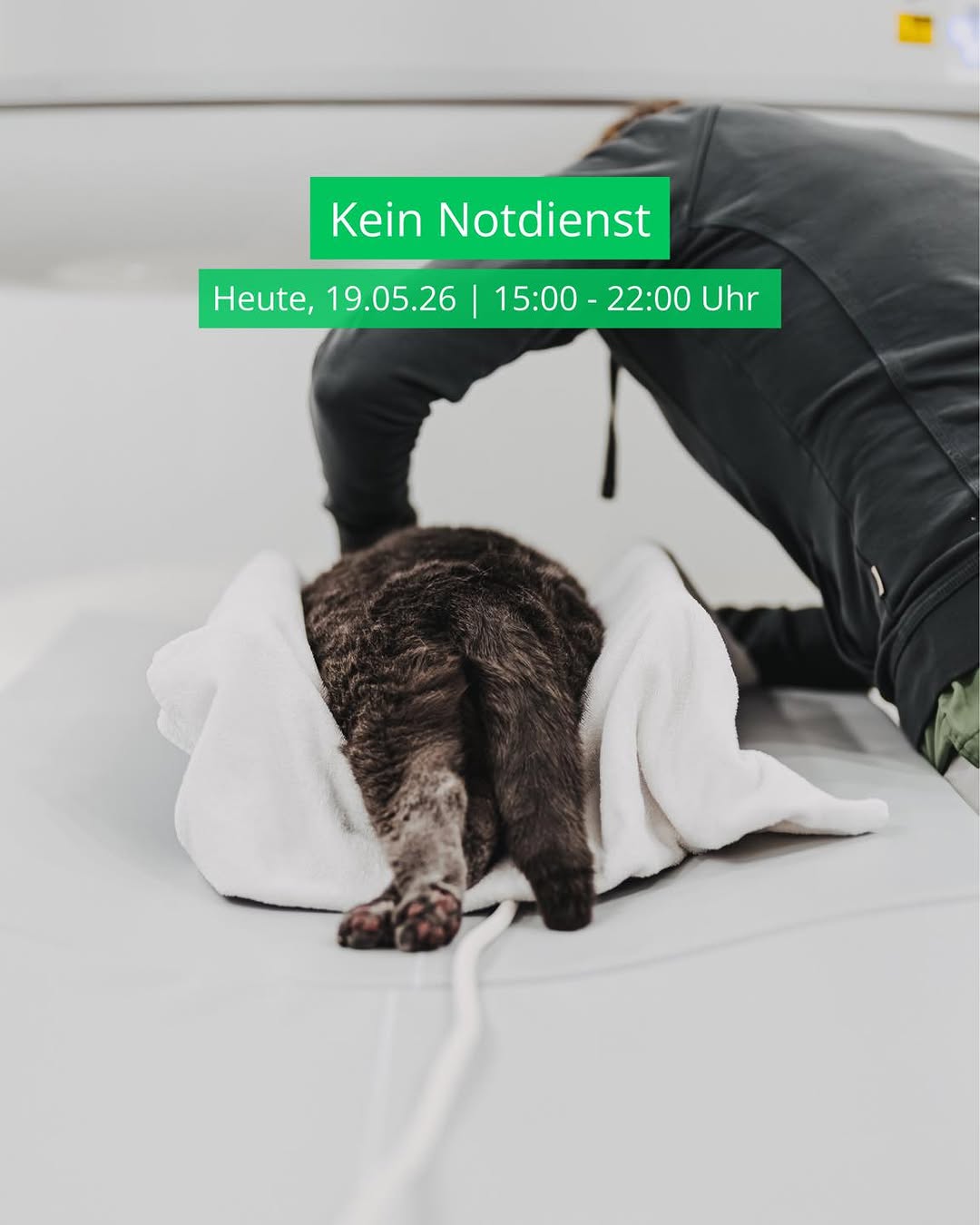 Instagram Beitrag von Tierklinik Posthausen