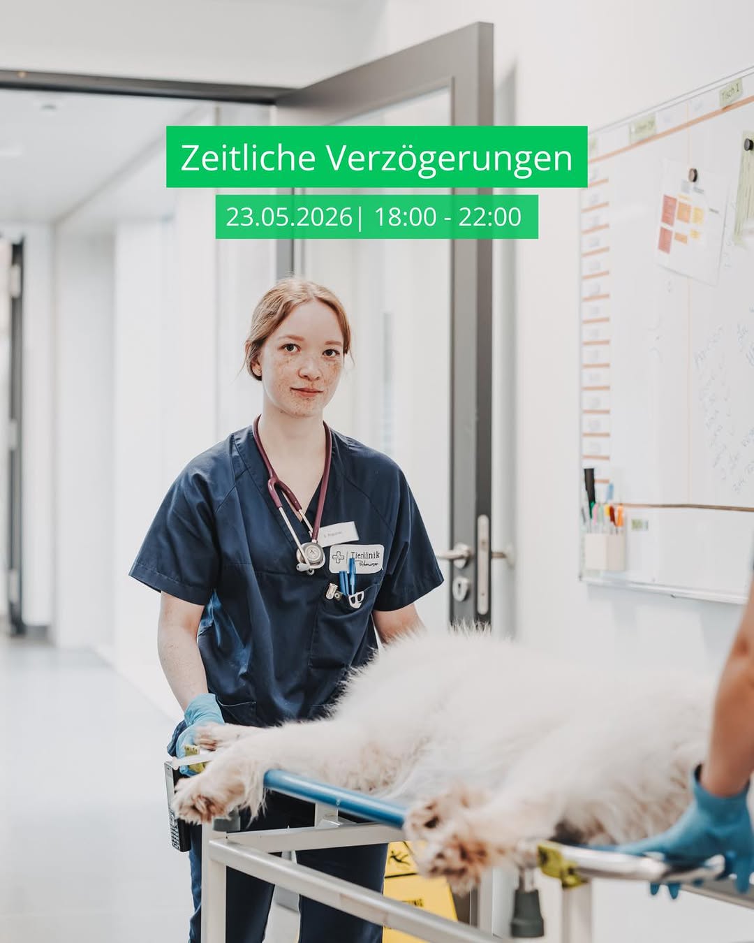 Instagram Beitrag von Tierklinik Posthausen